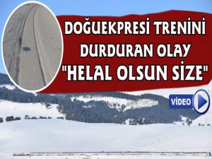 Kars'ta Doğuekspresi Tren Yaban Hayatı İçin Durdu