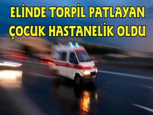 Kars'ta Elinde Torpil Patlayan Çocuk Hastanelik Oldu