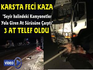 Kars'ta Feci Kaza, Kamyonetler At Sürüsüne Çarptı