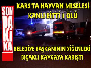 Kars'ta Hayvan Meselesinden Çıkan Tartışmada 1 Ölü