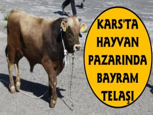 Kars'ta Hayvan Pazarında Kurbanlık Telaşı 