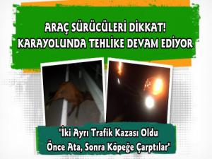 Kars'ta İki Ayrı Trafik Kazası Araçlar Ata ve Köpeğe Çarptı