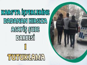 Kars'ta İşyeri Hırsızlarına Operasyon