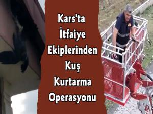 Kars'ta İtfaiye Ekiplerinden Kuş Kurtarma Operasyonu