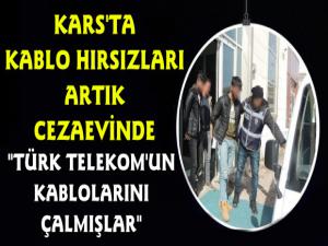 Kars'ta Kablo Hırsızları Tutuklandı