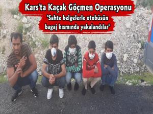 Kars'ta Kaçak Göçmen Operasyonu