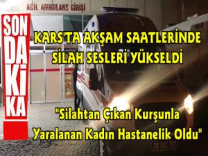 Kars'ta Kadın Silahtan Çıkan Kurşunla Yaralandı