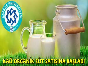 Kars'ta Kafkas Üniversitesi Organik Süt Satışına Başladı