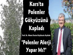 Kars'ta Kavak Ağaçlarının Polenleri Gökyüzünü Kapladı