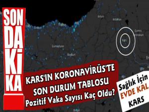 Kars'ta Koronavirüs'te Son Durum Tablosu
