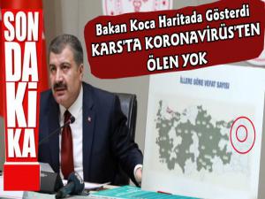 Karsta Koronavirüsten Ölen Yok