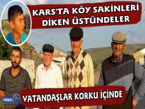 Kars'ta Köyü Domuz Sürüsü ve Ayılar İstila Etti Köy Sakinleri Tedirgin