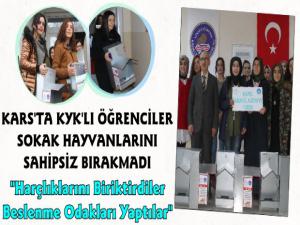 Kars'ta KYK Öğrencileri Sokak Hayvanlarını Sahipsiz Bırakmadı