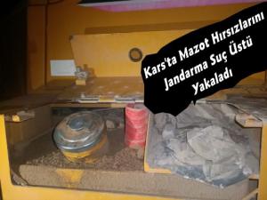 Kars'ta Mazot Hırsızlığı 2 Gözaltı