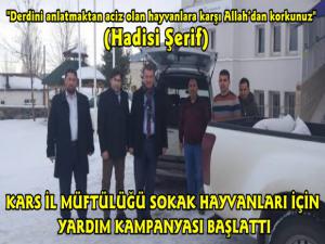 Kars'ta Müftülük Sokak Hayvanlarına Karşı Duyarsız Kalmadı