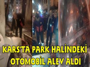 Kars'ta Park Halindeki Otomobil Alev Aldı