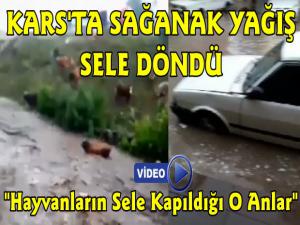 Kars'ta Sağanak Yağış Sele Döndü, İnekler Telef Oldu