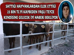 Kars'ta Sattığı Hayvanlarının Parasını Kaybeden Yaşlı Kadın Mutlu Haberi Bekliyor 