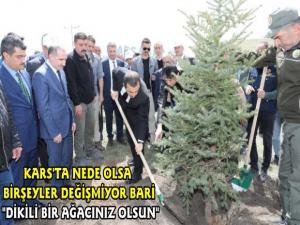 Kars'ta 'Sizin de Dikili Bir Ağacınız Olsun' Projesi