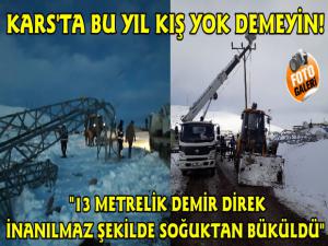 Kars'ta Soğuk Hava ve Sis Demir Elektrik Direklerini Devirdi