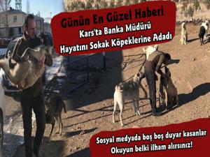 Kars'ta Sokak Köpekleri İçin Mücadele Eden Ziraat Bankası Müdürü