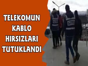 Kars'ta Telekom Kablolarını Çalan İki Hırsız Tutuklandı
