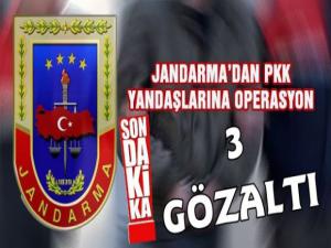 Kars'ta Terör Operasyonu, 3 Gözaltı