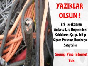 Kars'ta Türk Telekomun Kablosunu Çaldılar