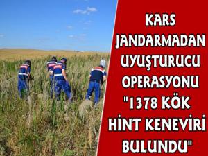 Kars'ta Uyuşturucu Operasyonu, 1378 Kök Hint Keneviri Ele Geçirildi