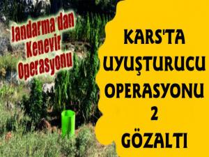 Kars'ta Uyuşturucu Operasyonu, 2 Gözaltı