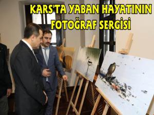 Kars'ta Yaban Hayatının Gözlem Fotoğraf Sergisi Açıldı