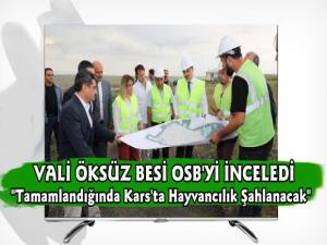 Kars Valisi Türker Öksüz Besi Organize Sanayi Bölgesini İnceledi