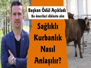 Kars VHO Başkanı Ercan Ödül'den Sağlıklı Kurbanlık Nasıl Anlaşılır Önerileri