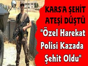 Karslı Özel Harekat Polisi Mustafa Akgül Siir'te Şehit Oldu