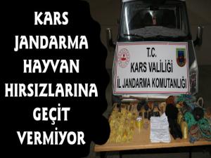 Karsta Hayvan Hırsızları ve Kaçakçılarına Jandarma Operasyonu