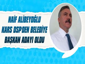 Naif Alibeyoğlu DSP'den Aday Oldu