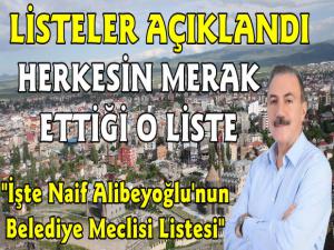 Naif Alibeyoğlu'nun Belediye ve İl Genel Meclis Adayları Belli Oldu