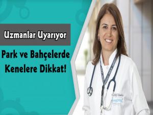 Park ve bahçelerde kenelere dikkat!