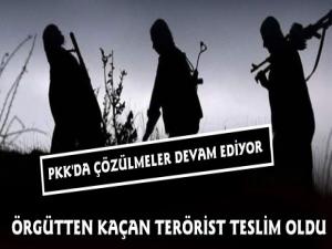 PKK'dan Kaçan Terörist Teslim Oldu