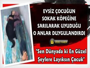 Sokak Köpeğine Sarılıp Uyuyan Çocuk Duygulandırdı