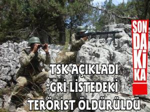TSK Açıkladı, Gri Listede olan Terörist Etkisiz Hale Getirildi