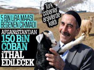 Türkiye, Afganistan'dan çoban ithal edecek