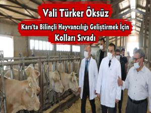 Vali Türker Öksüz Kars'ta Bilinçli Hayvancılığın Gelişimi İçin Çiftçilerin Yanında