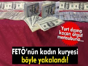 FETÖ'nün Para Ablası 100 bin dolar ile yakalandı