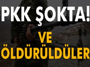 PKK'nın sözde bölge sorumluları öldürüldü