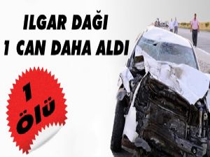 Ilgar Dağı 1 Can Aldı!