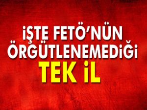 FETÖ'nün örgütlenemediği tek il Tunceli