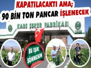 Kars Şeker Fabrikası 13 bin ton şeker üretecek!