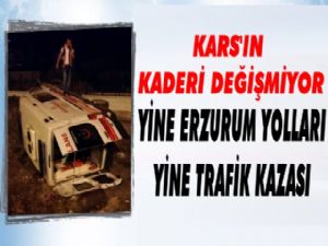 Kars'tan Erzurum'a Giden Ambulans Kaza Yaptı