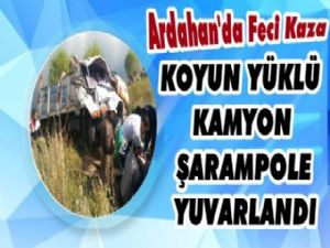 Ardahan'da Koyun Yüklü Kamyon Şarampole Yuvarlandı